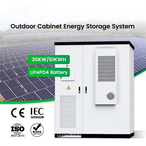 Development of Microgrid Abroad