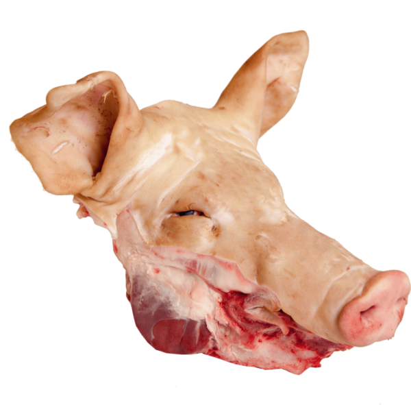 Quality Frozen Pork Head