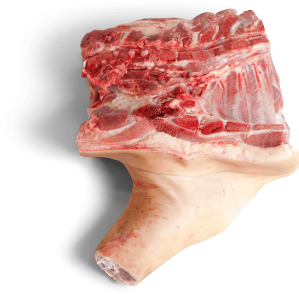 Frozen Pork Fore-End Without Jowl