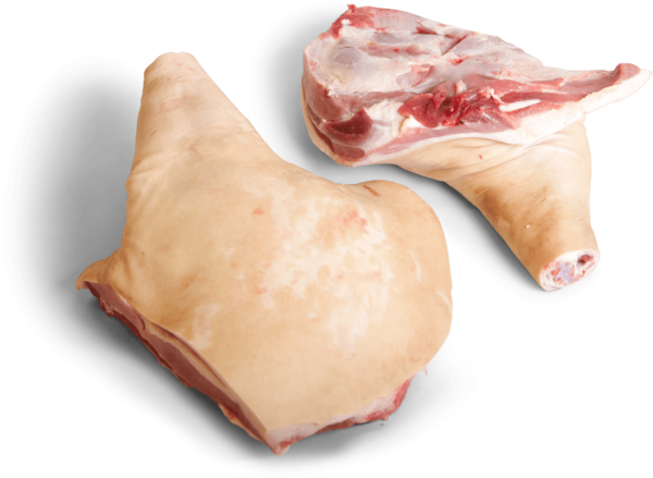 Wholesale Frozen Pork Shoulder in Spain