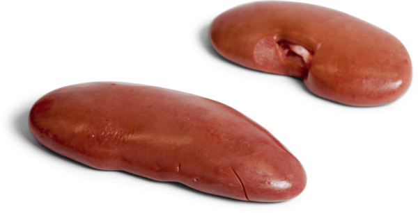 Quality Frozen Pork Kidney