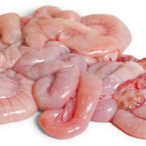 Wholesale Frozen Pork Small Intestines