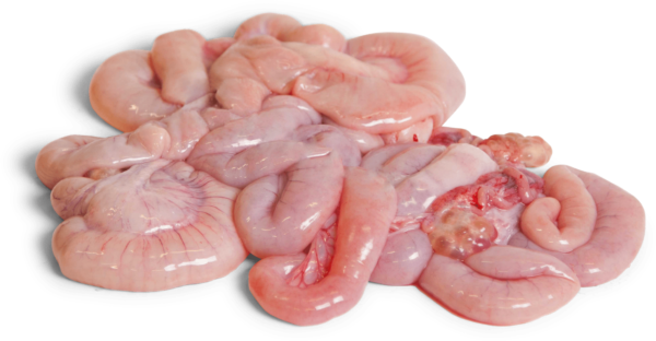 Quality Frozen Pork Small Intestines